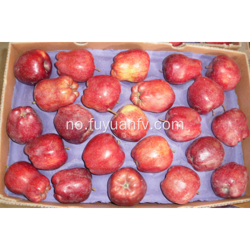 rød deilig Huaniu eple til salgs